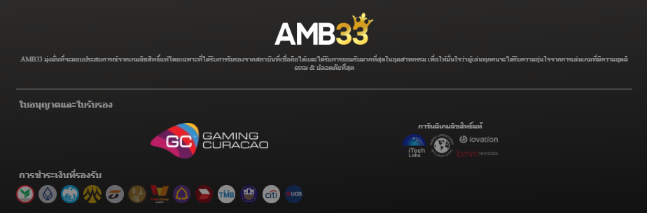 AMB33